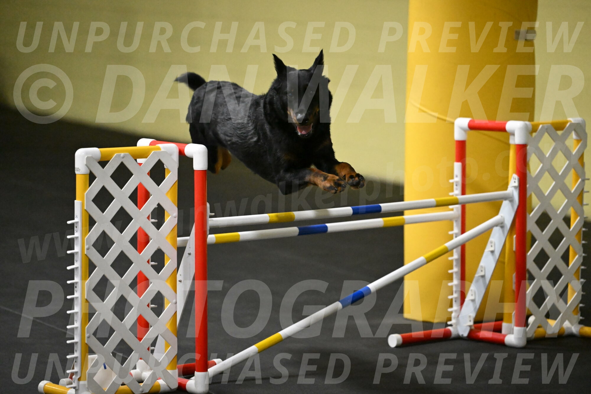 Sirsee-Bourell-Casey-07169