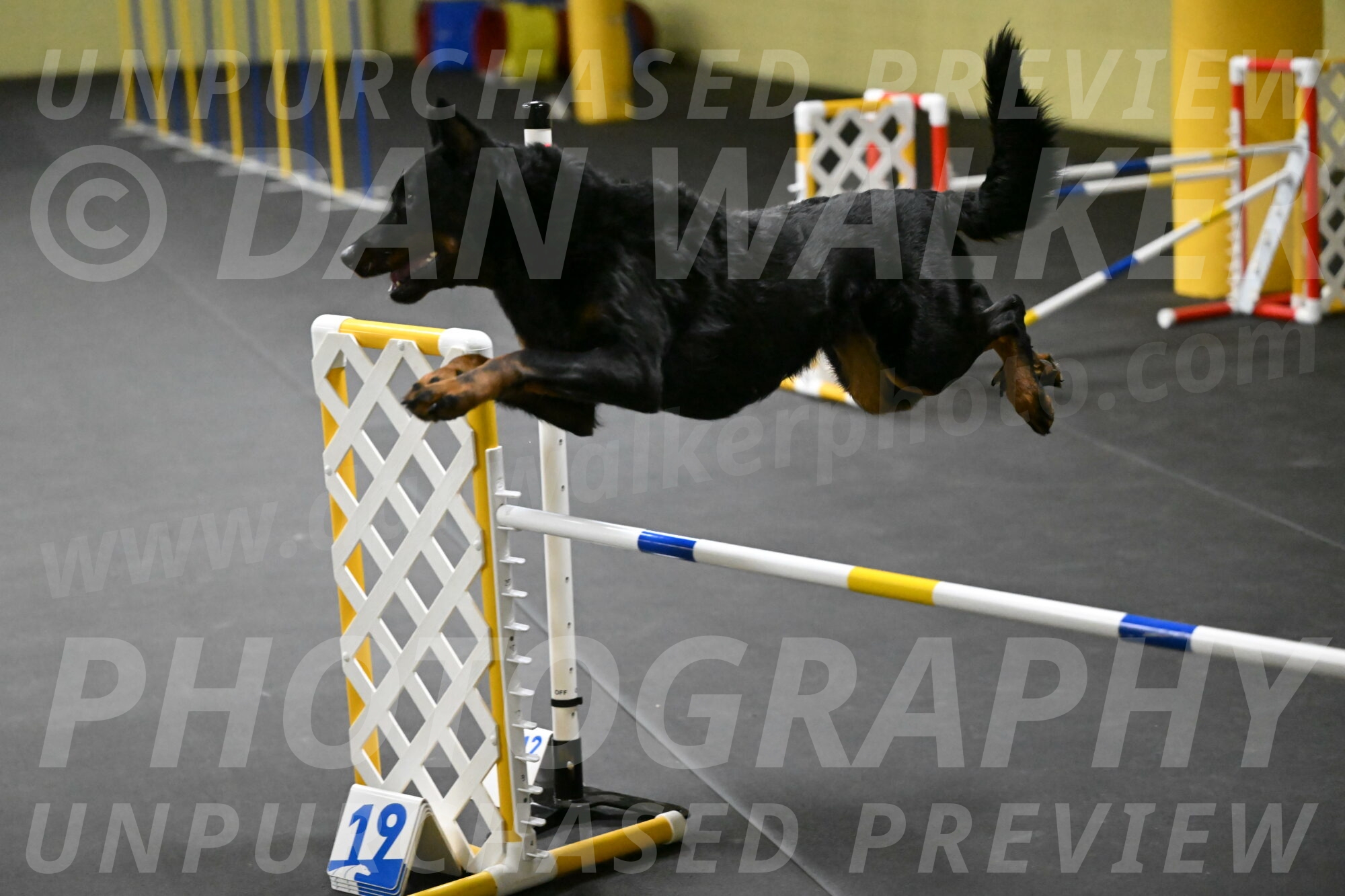 Sirsee-Bourell-Casey-07176