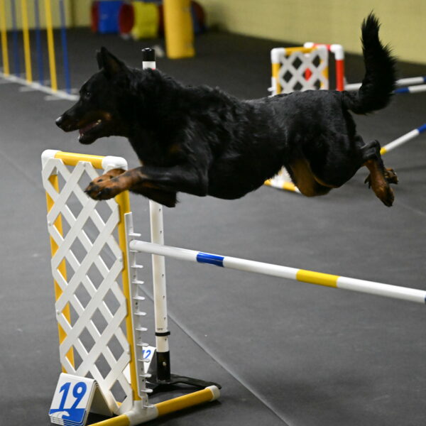 Sirsee-Bourell-Casey-07176