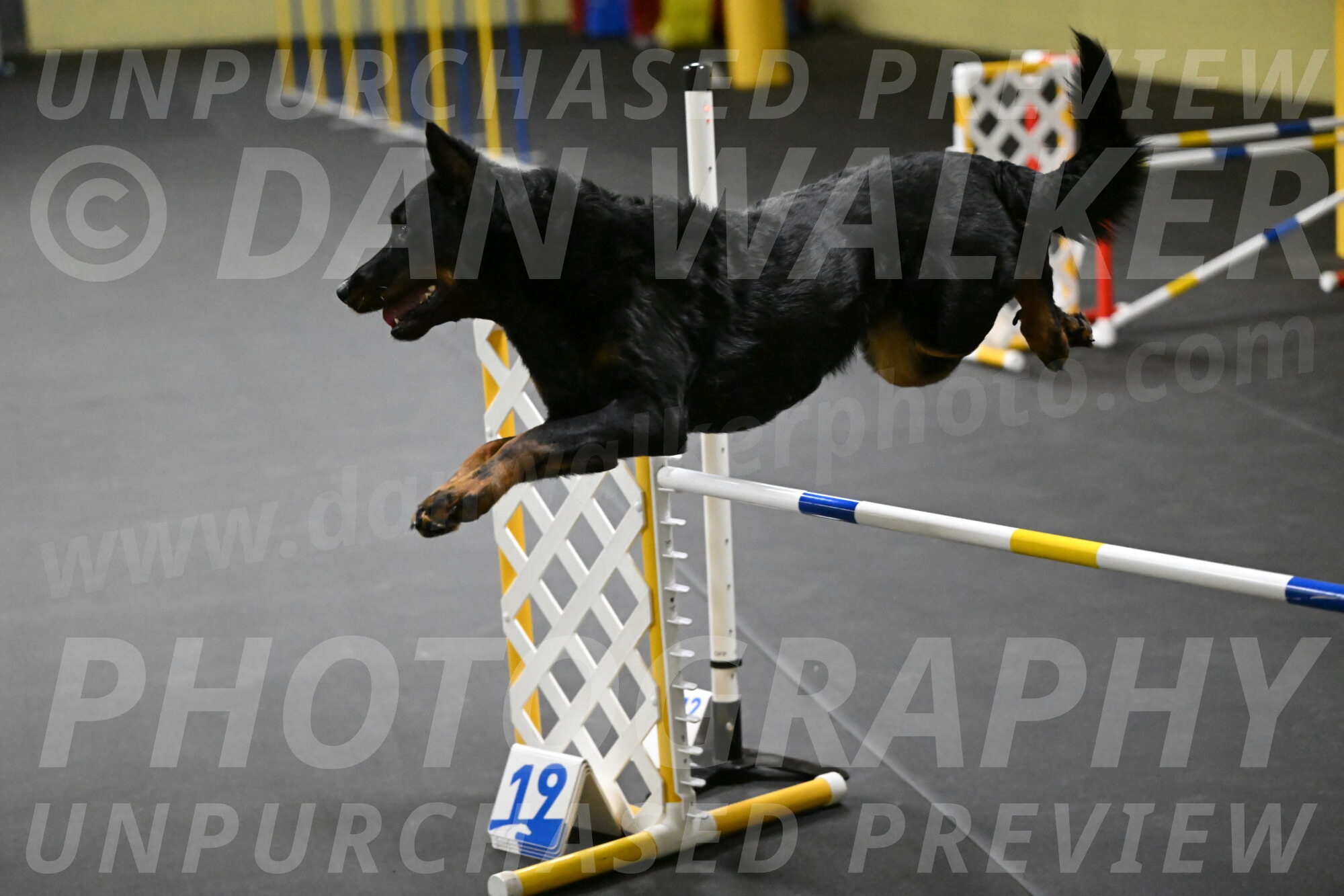 Sirsee-Bourell-Casey-07177