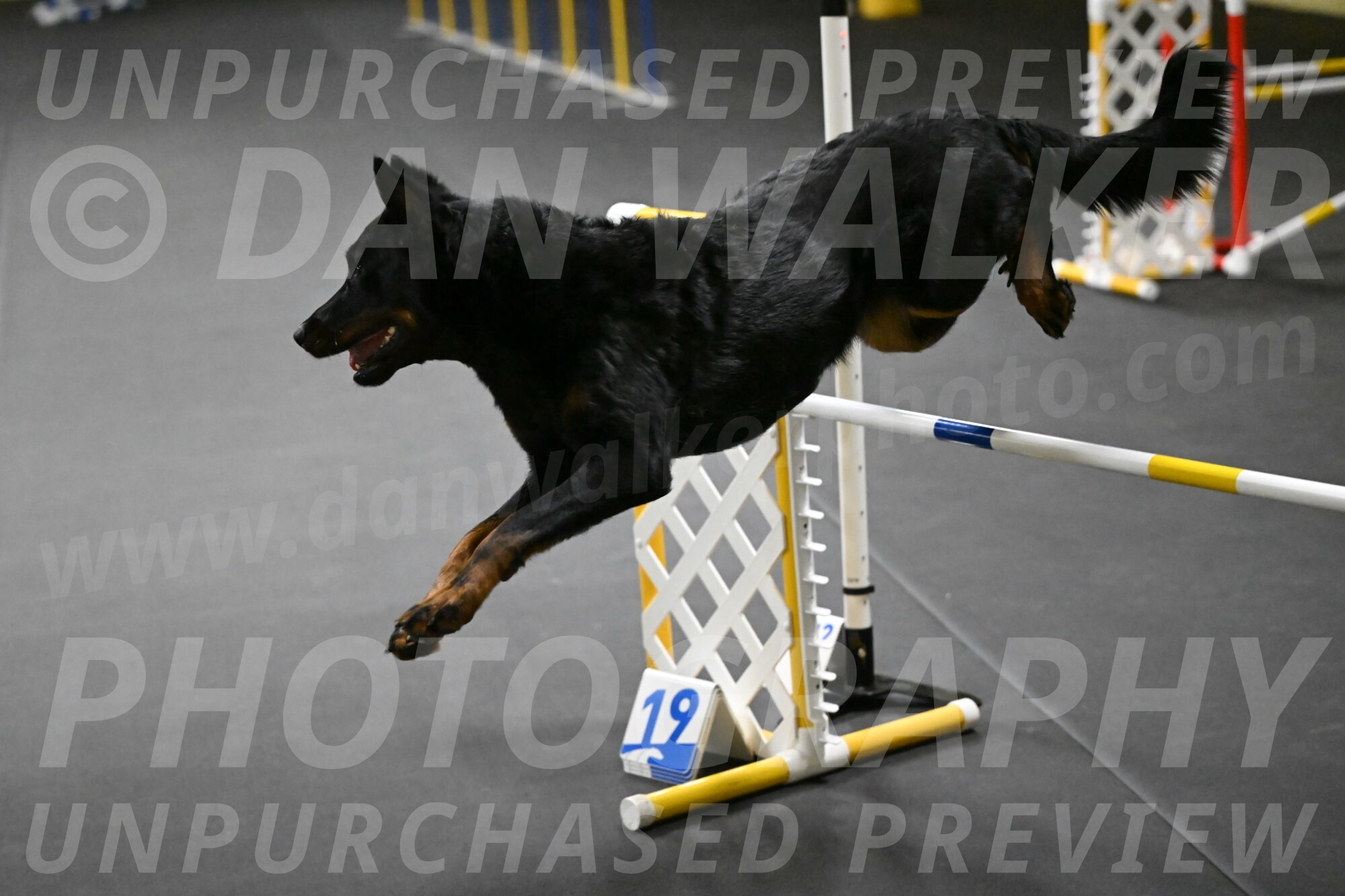 Sirsee-Bourell-Casey-07178