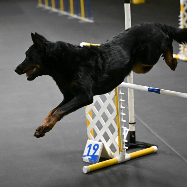 Sirsee-Bourell-Casey-07178