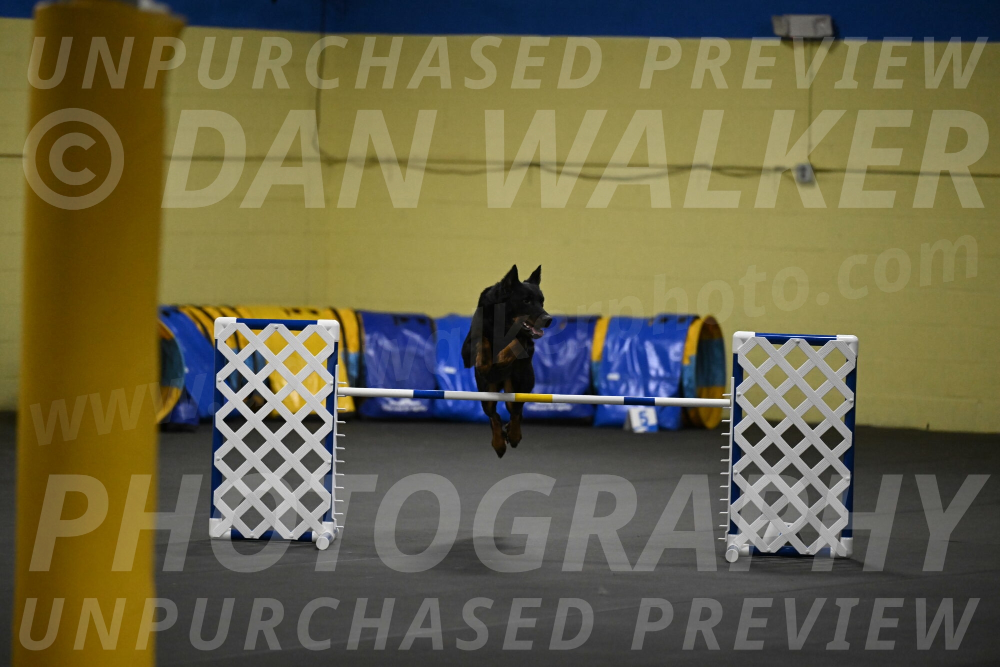 Sirsee-Bourell-Casey-07179