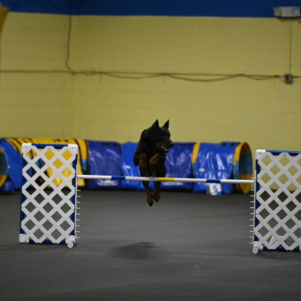 Sirsee-Bourell-Casey-07179