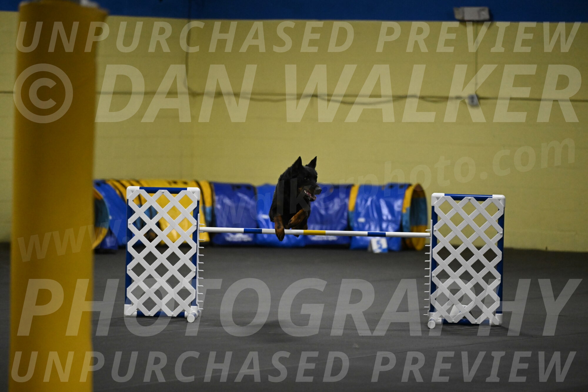 Sirsee-Bourell-Casey-07180