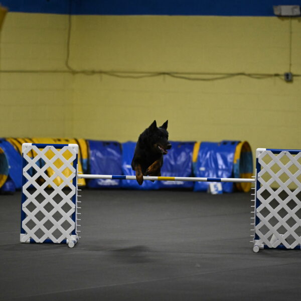 Sirsee-Bourell-Casey-07180