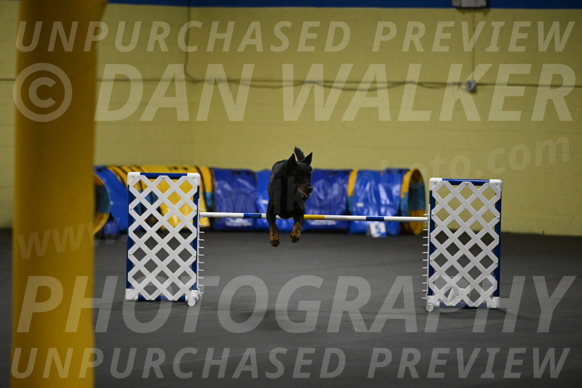 Sirsee-Bourell-Casey-07181