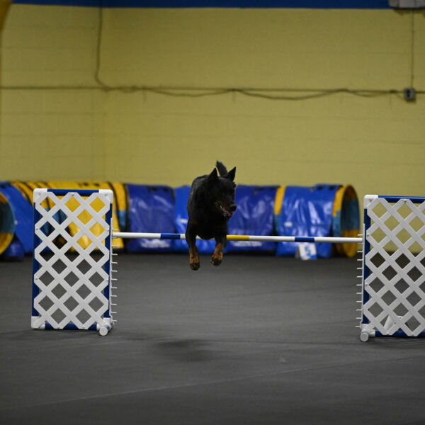 Sirsee-Bourell-Casey-07181