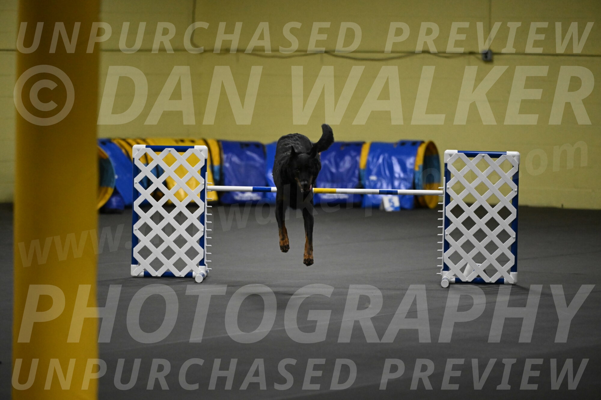 Sirsee-Bourell-Casey-07182