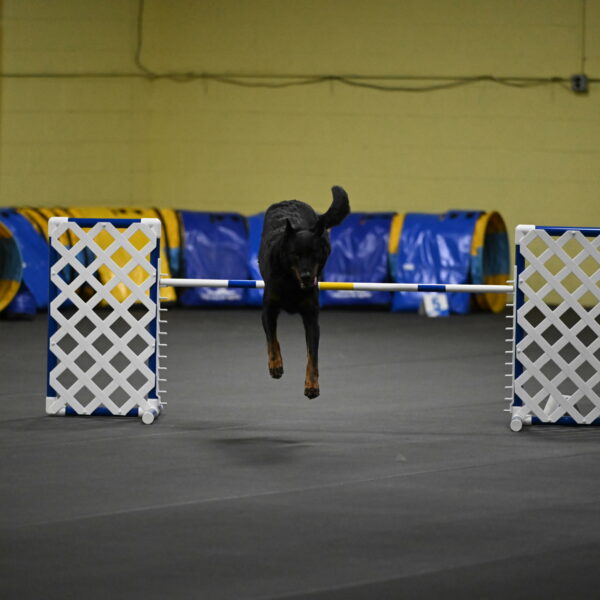 Sirsee-Bourell-Casey-07182