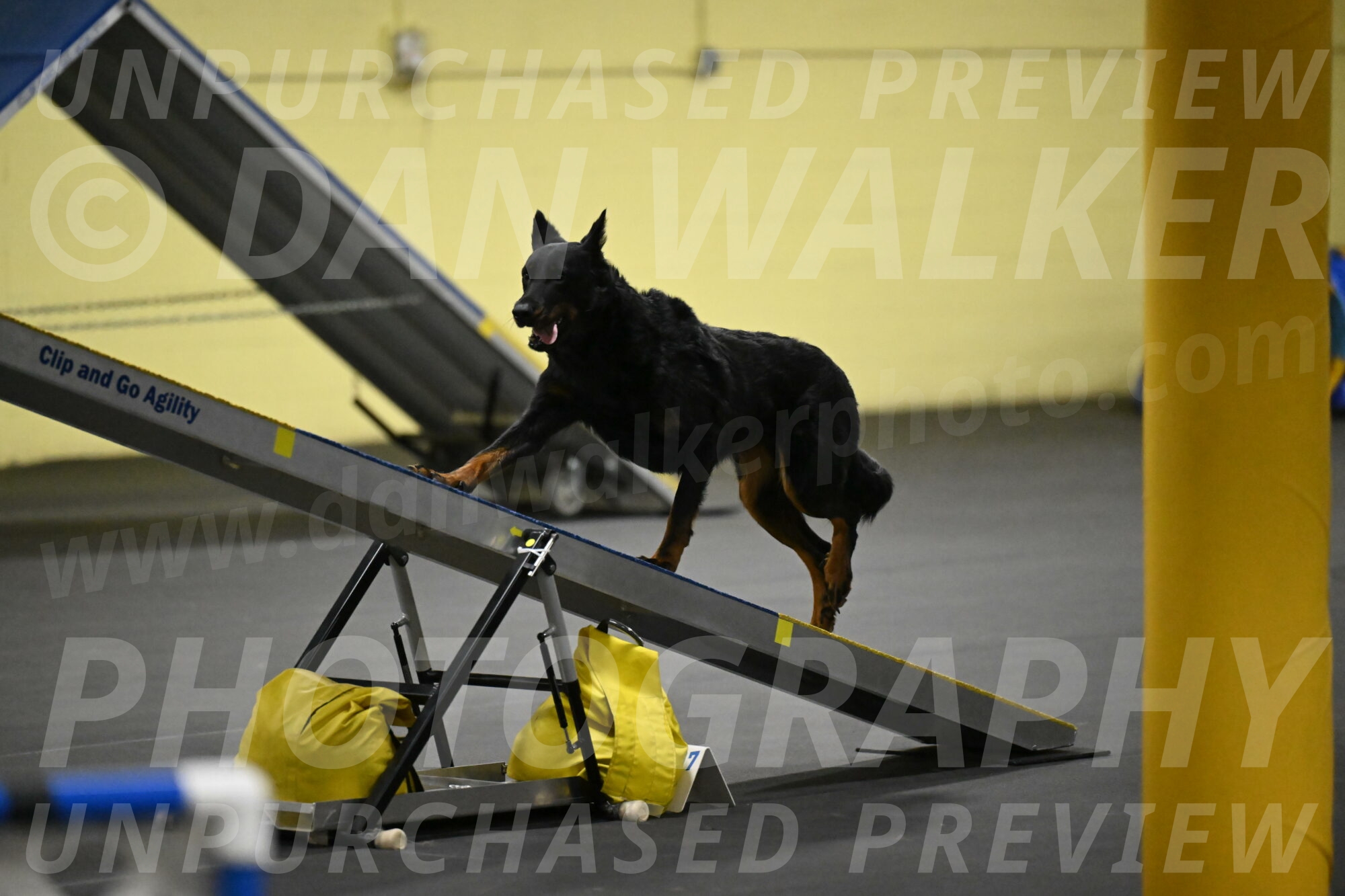 Sirsee-Bourell-Casey-07184