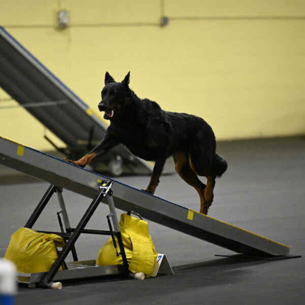 Sirsee-Bourell-Casey-07184