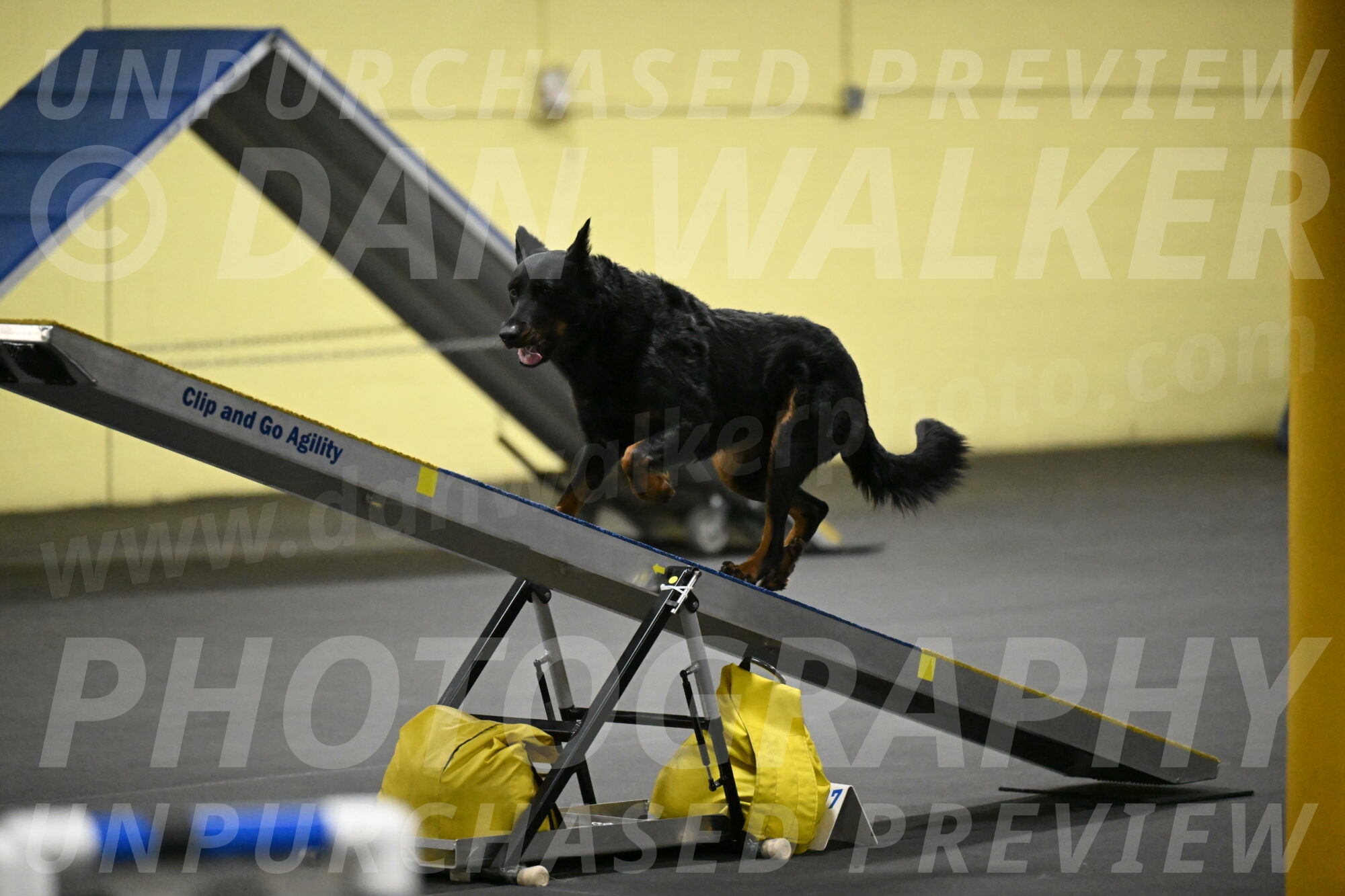 Sirsee-Bourell-Casey-07186