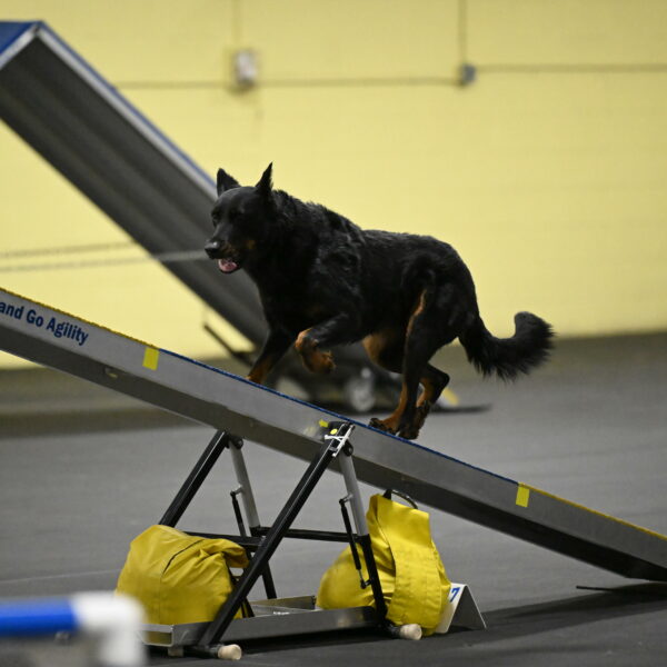 Sirsee-Bourell-Casey-07186