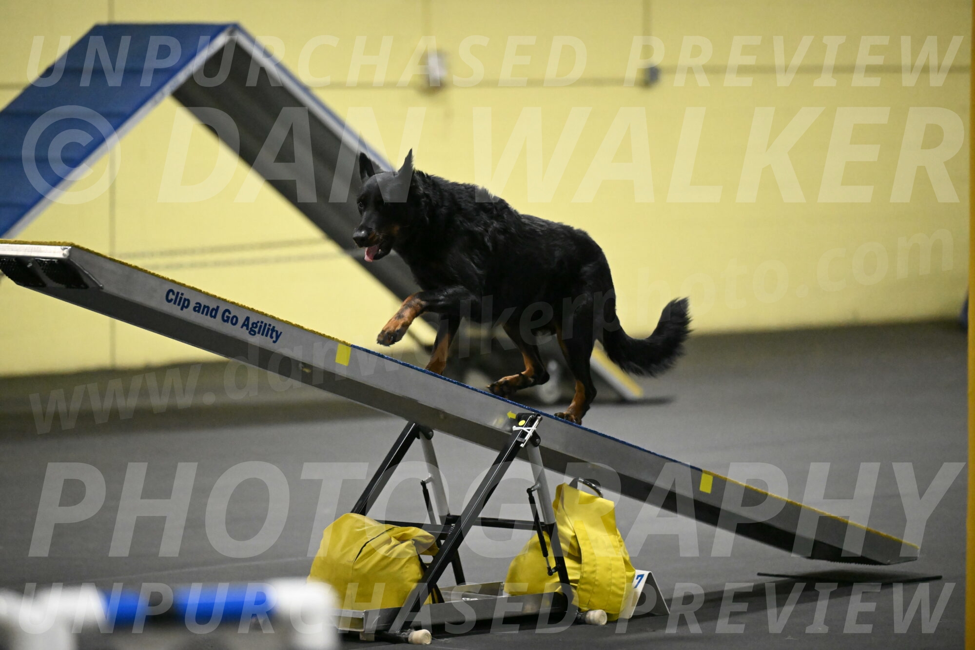 Sirsee-Bourell-Casey-07187