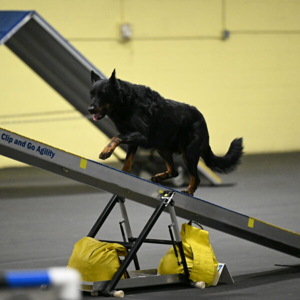 Sirsee-Bourell-Casey-07187