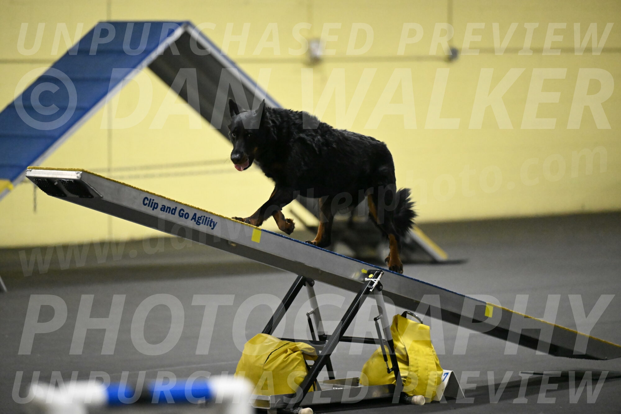 Sirsee-Bourell-Casey-07188