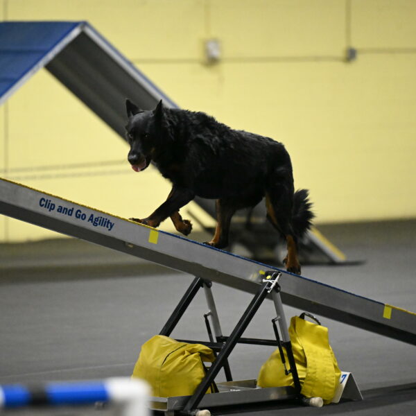 Sirsee-Bourell-Casey-07188