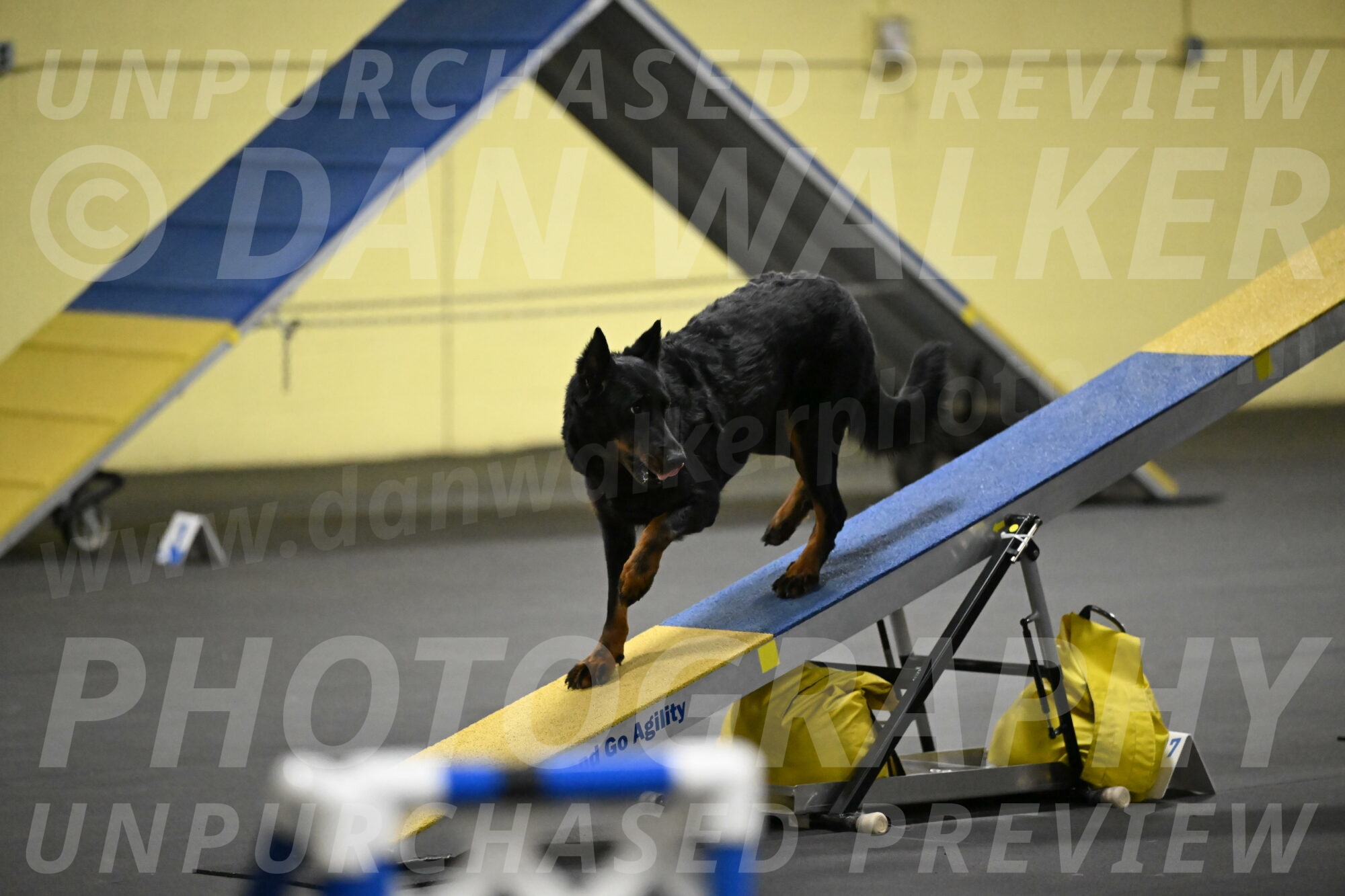 Sirsee-Bourell-Casey-07194