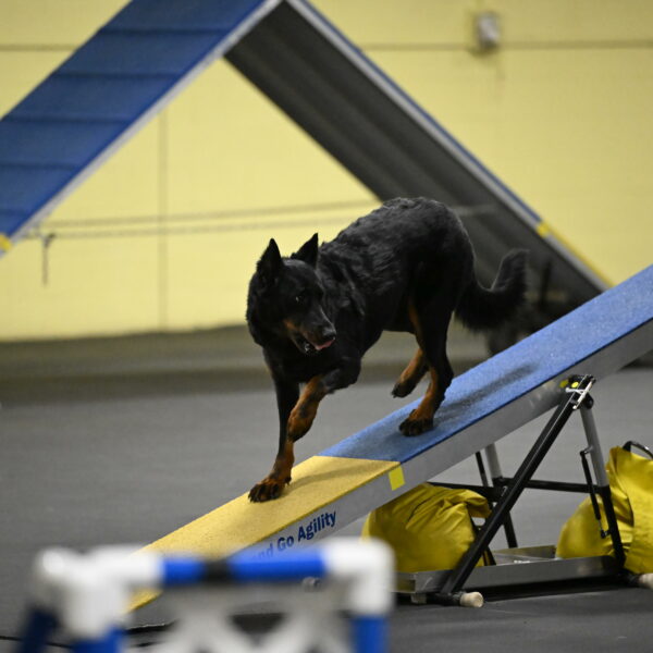 Sirsee-Bourell-Casey-07194