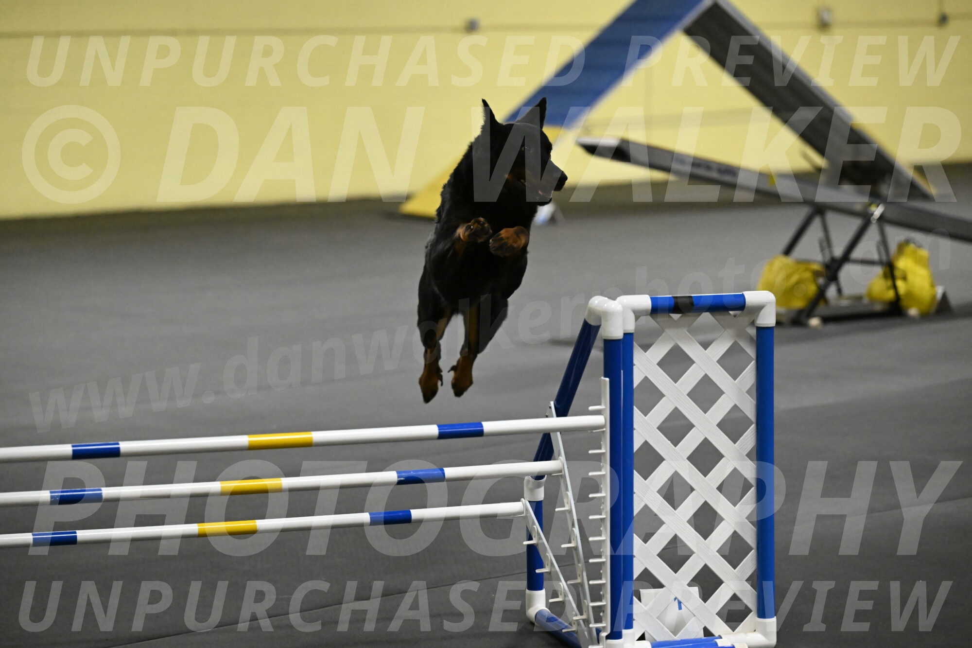 Sirsee-Bourell-Casey-07204