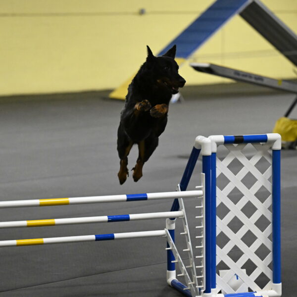 Sirsee-Bourell-Casey-07204