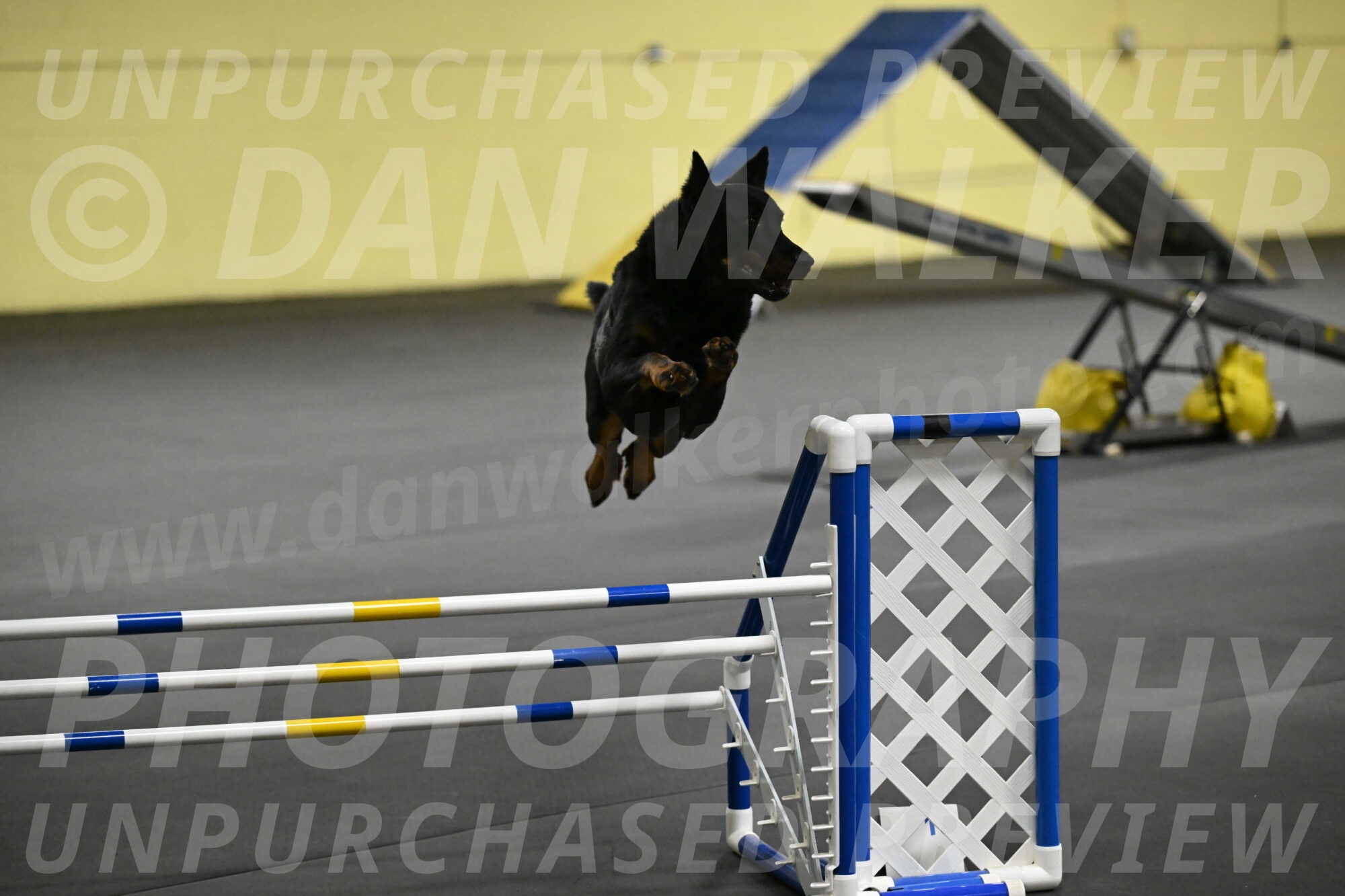 Sirsee-Bourell-Casey-07205