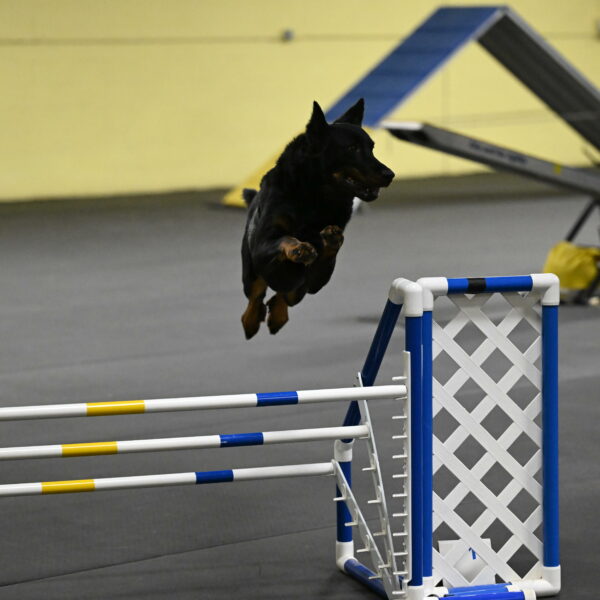 Sirsee-Bourell-Casey-07205