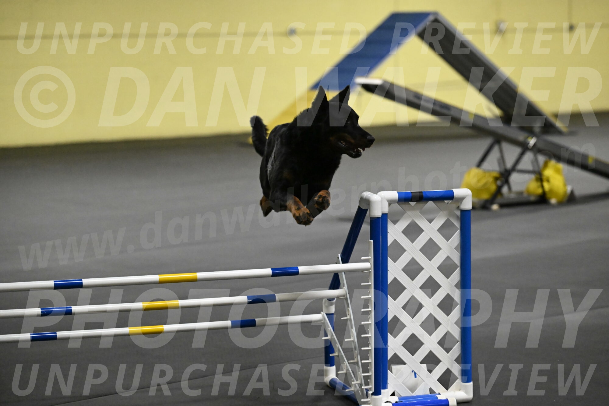 Sirsee-Bourell-Casey-07206