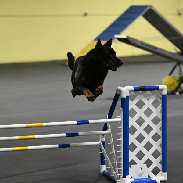 Sirsee-Bourell-Casey-07206