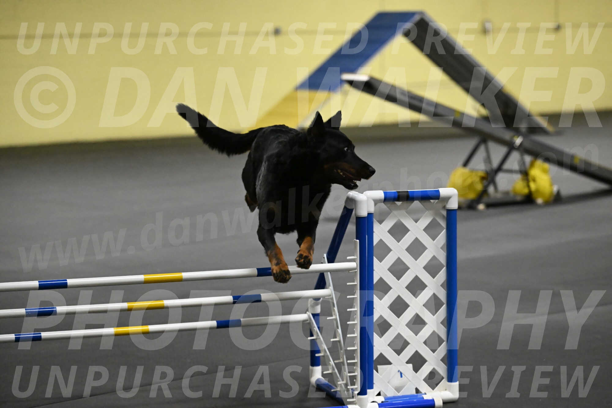 Sirsee-Bourell-Casey-07207