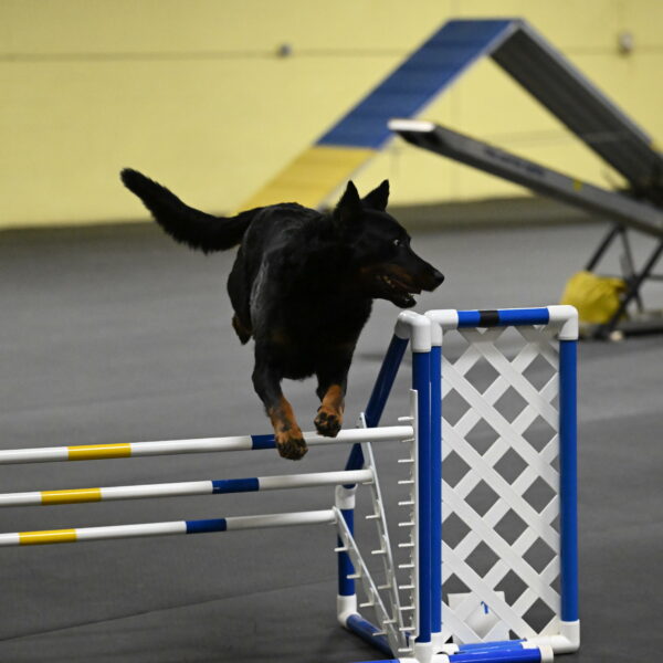 Sirsee-Bourell-Casey-07207