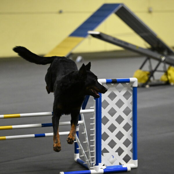 Sirsee-Bourell-Casey-07208