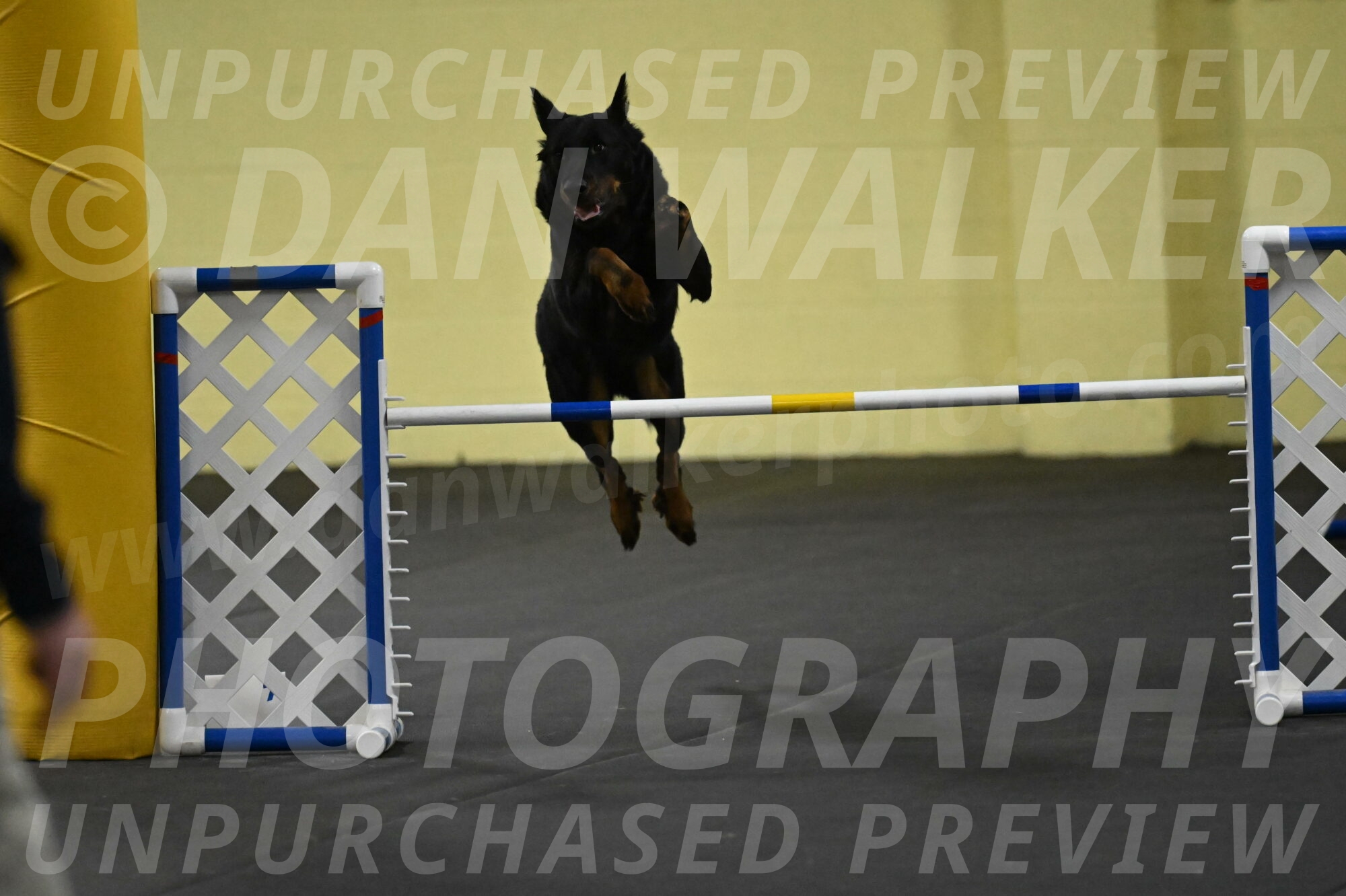 Sirsee-Bourell-Casey-07212