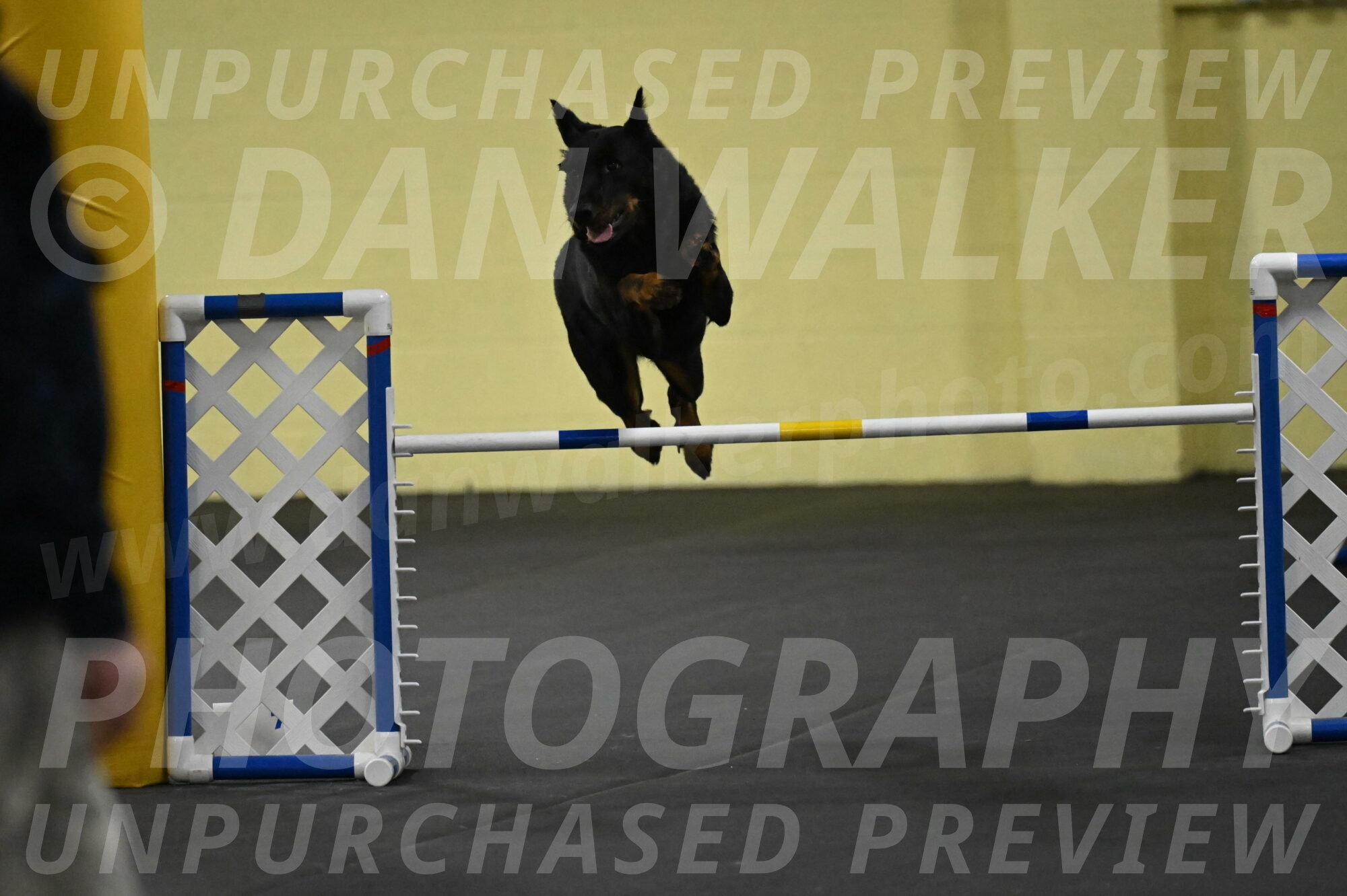 Sirsee-Bourell-Casey-07213