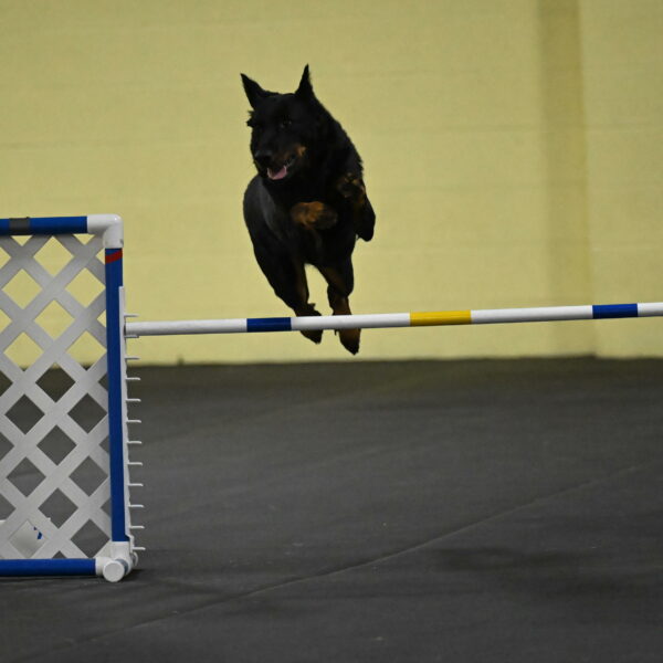 Sirsee-Bourell-Casey-07213