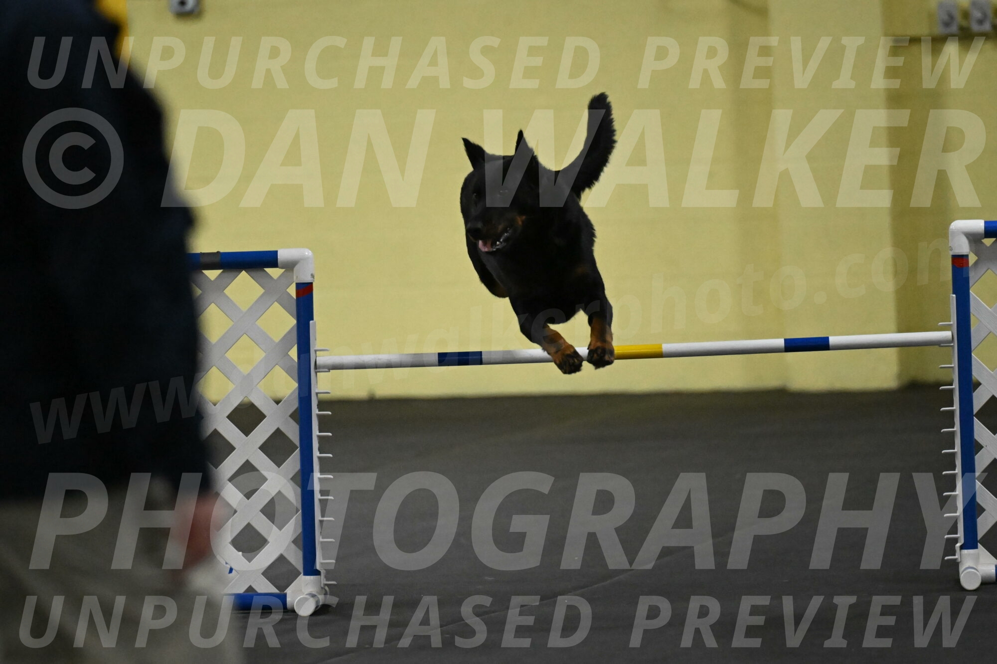 Sirsee-Bourell-Casey-07215