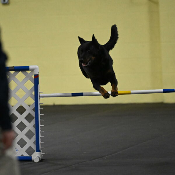 Sirsee-Bourell-Casey-07215