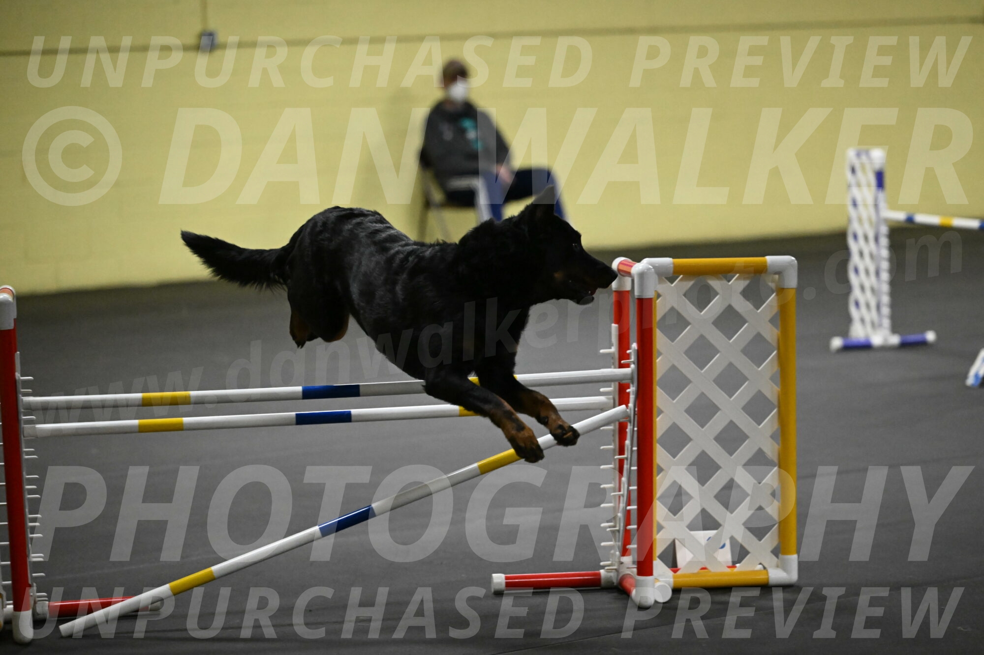 Sirsee-Bourell-Casey-07227