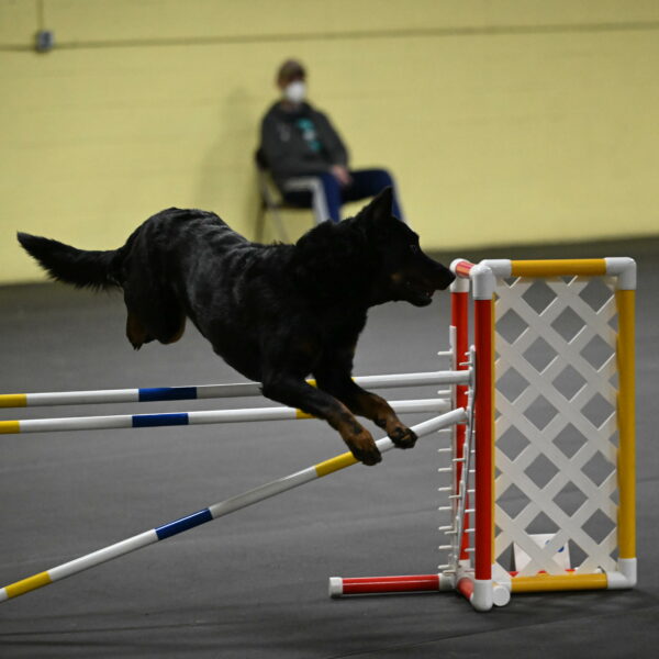 Sirsee-Bourell-Casey-07227