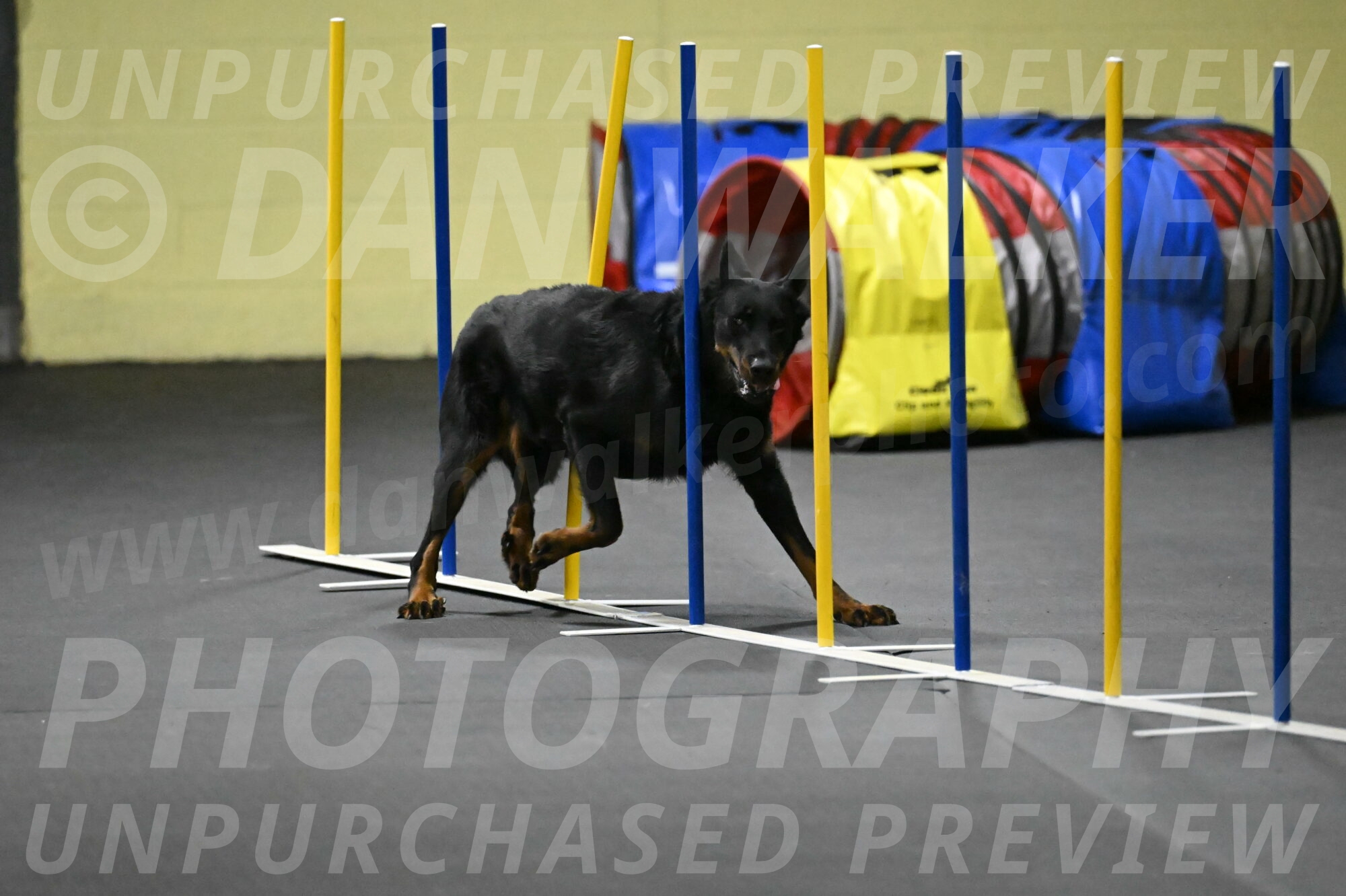 Sirsee-Bourell-Casey-07235