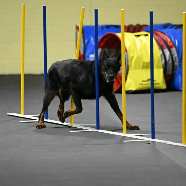 Sirsee-Bourell-Casey-07235