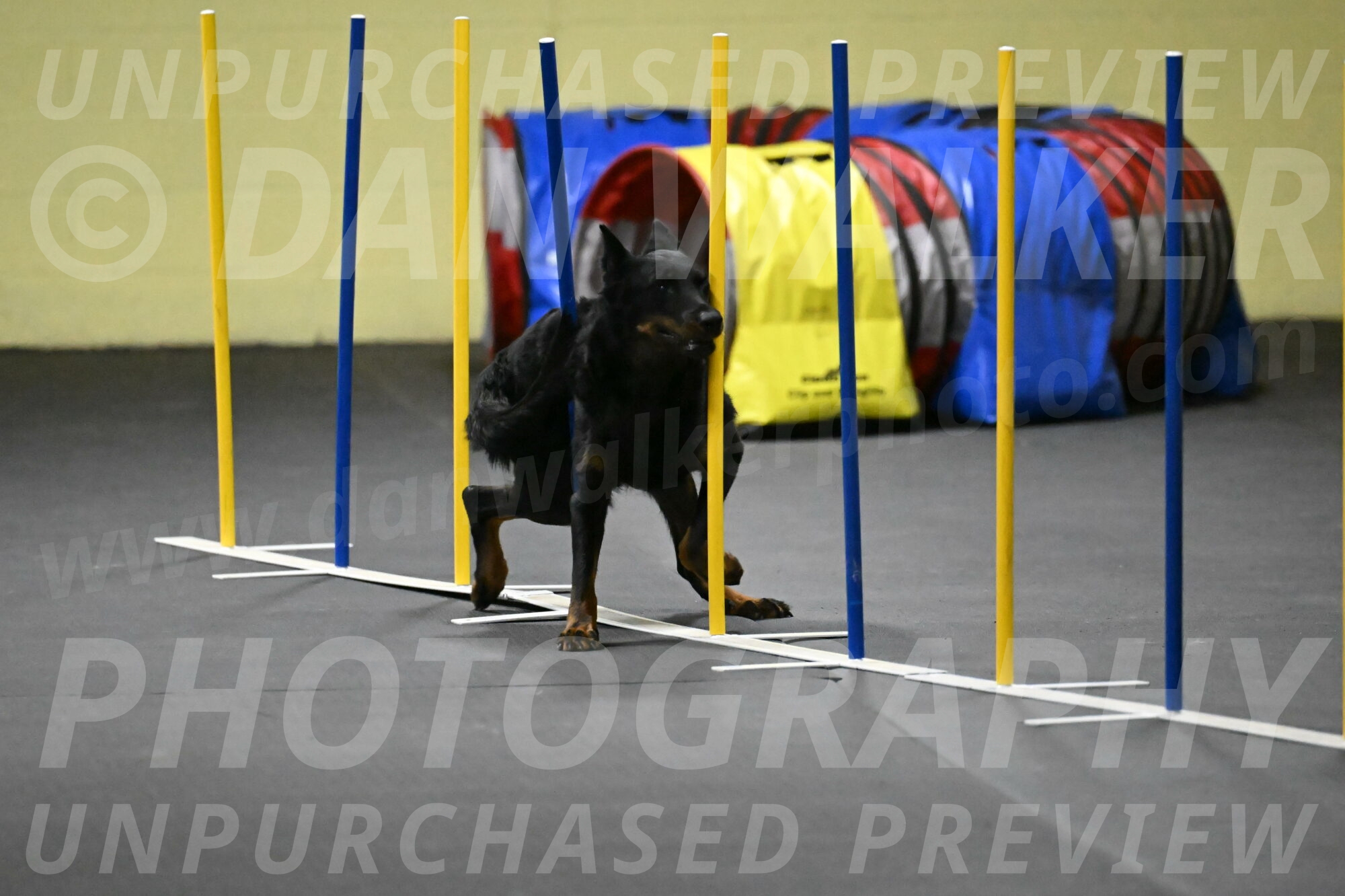 Sirsee-Bourell-Casey-07238