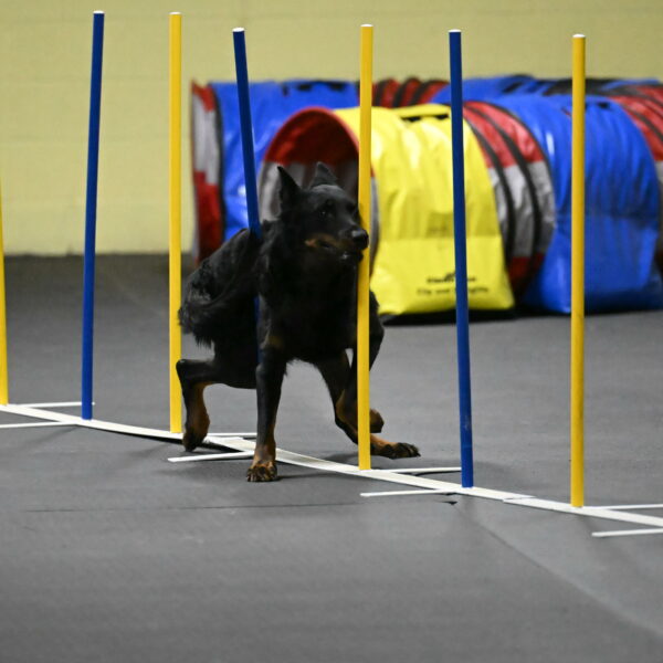 Sirsee-Bourell-Casey-07238