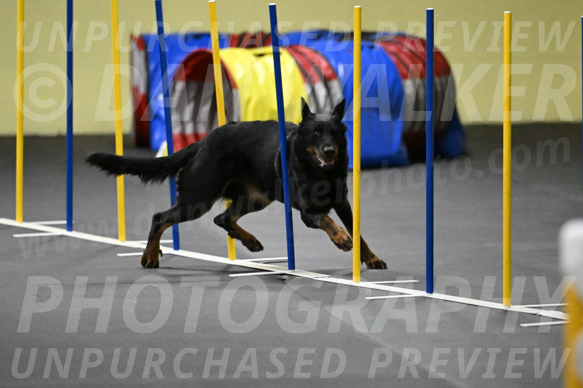 Sirsee-Bourell-Casey-07243