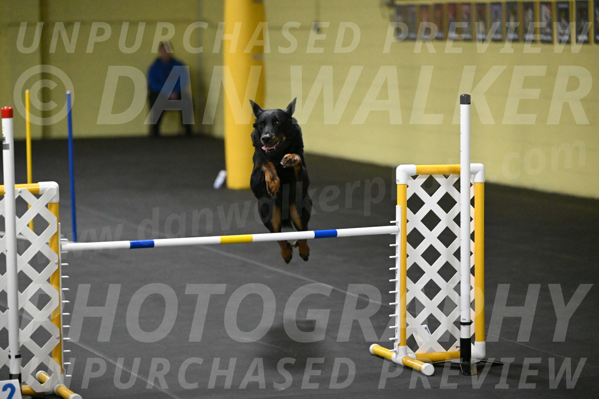 Sirsee-Bourell-Casey-07253