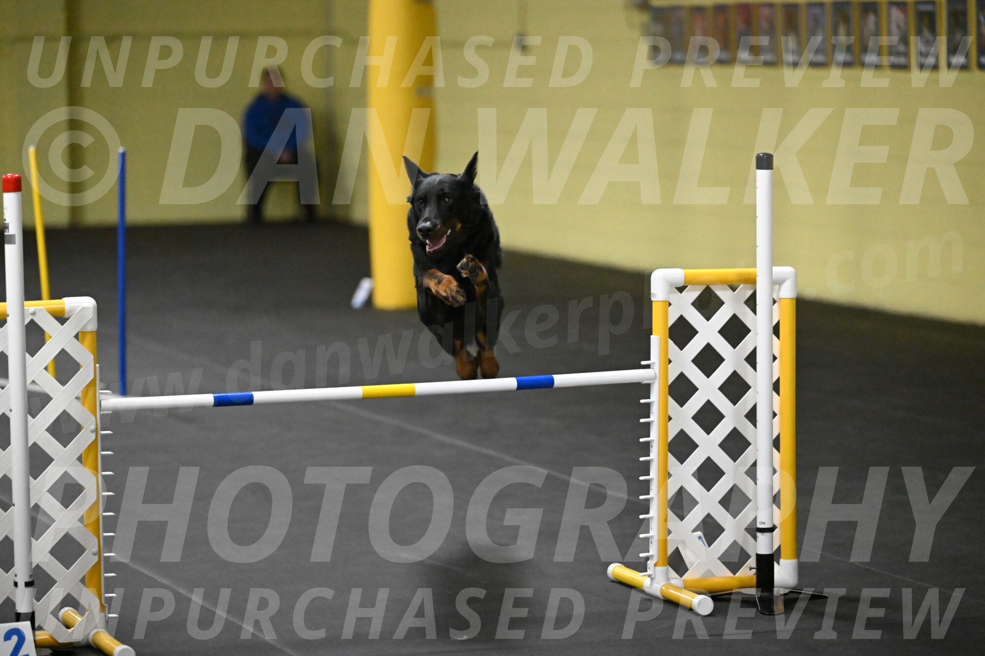 Sirsee-Bourell-Casey-07254