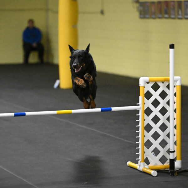 Sirsee-Bourell-Casey-07254