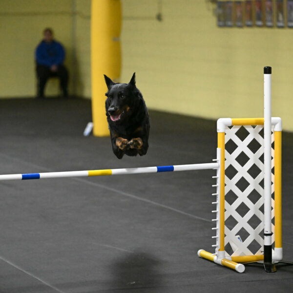 Sirsee-Bourell-Casey-07255