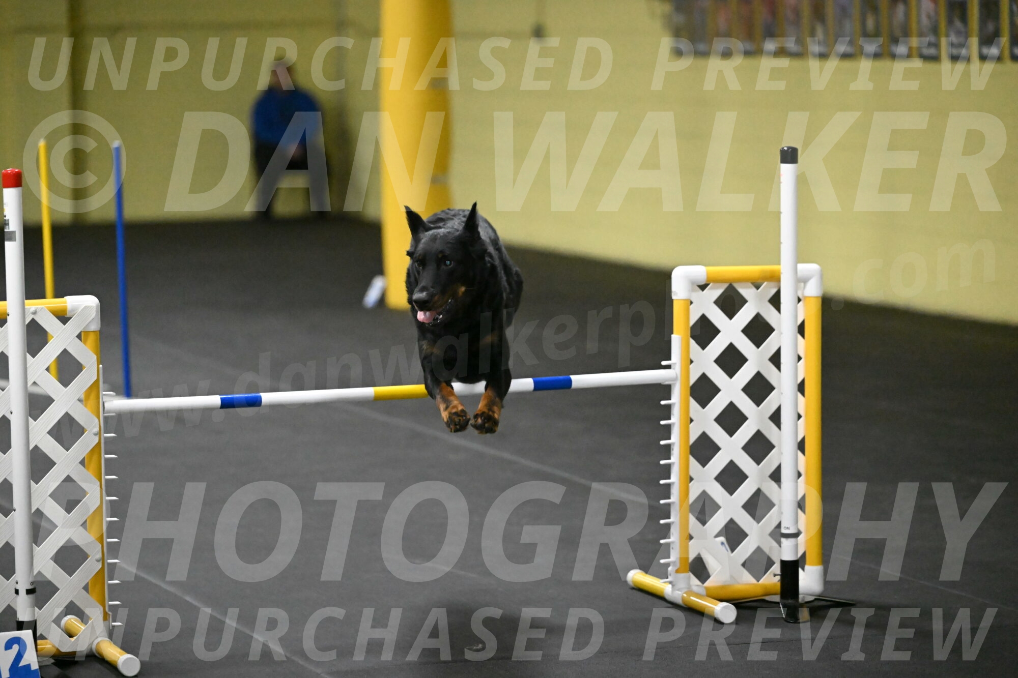 Sirsee-Bourell-Casey-07256